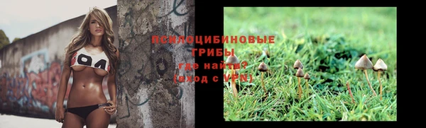 гашиш Белокуриха