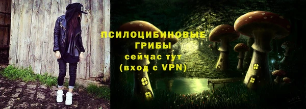 стафф Беломорск
