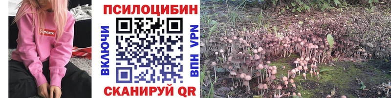 Псилоцибиновые грибы мухоморы  площадка состав  Полесск 